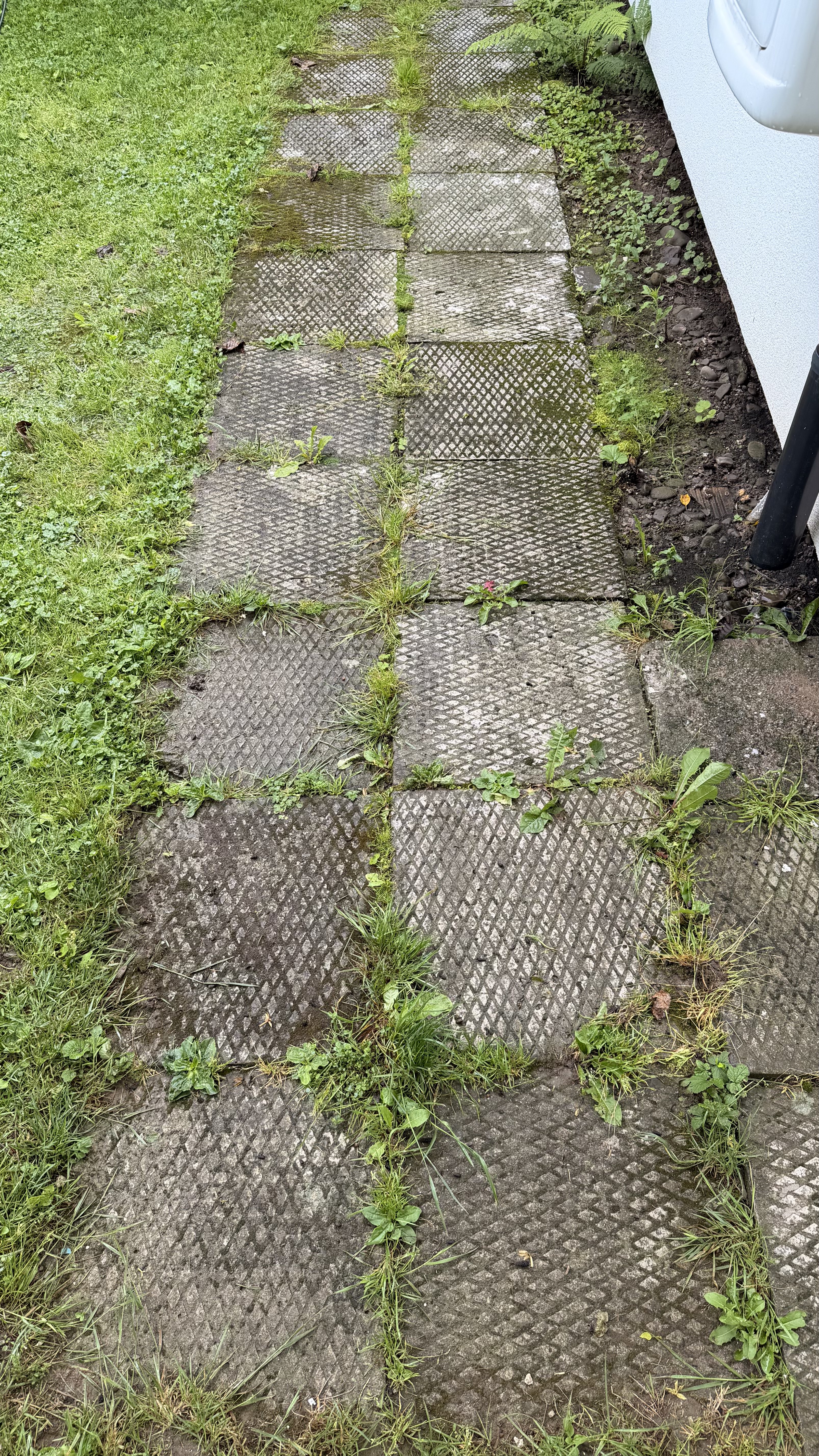 Chodnik z płyt betonowych przed czyszczeniem